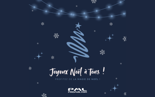 Joyeux Noël 2024