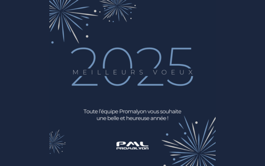 Bonne année 2025